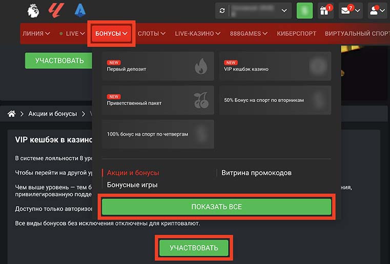 Раздел Бонусы